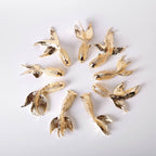 Goldfish Black Gold (Limited Edition)