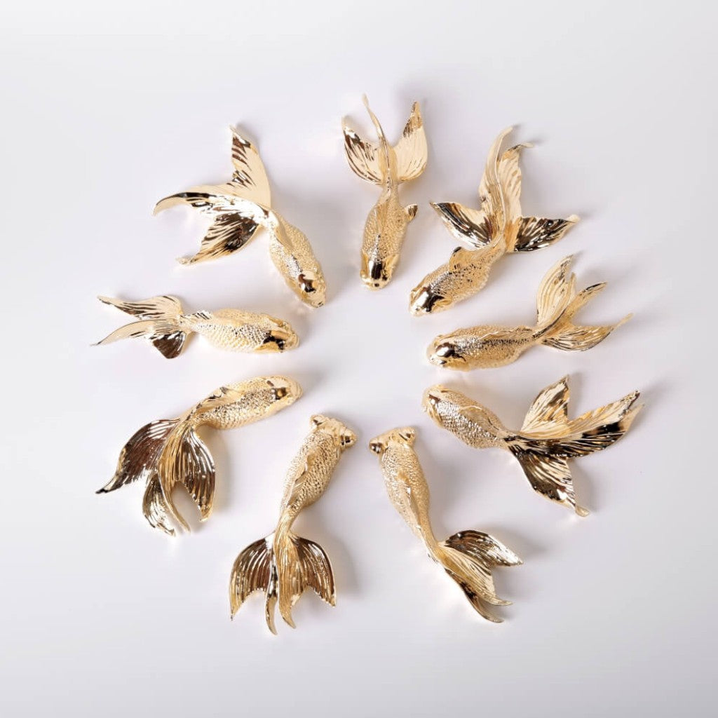 Goldfish Black Gold (Limited Edition)