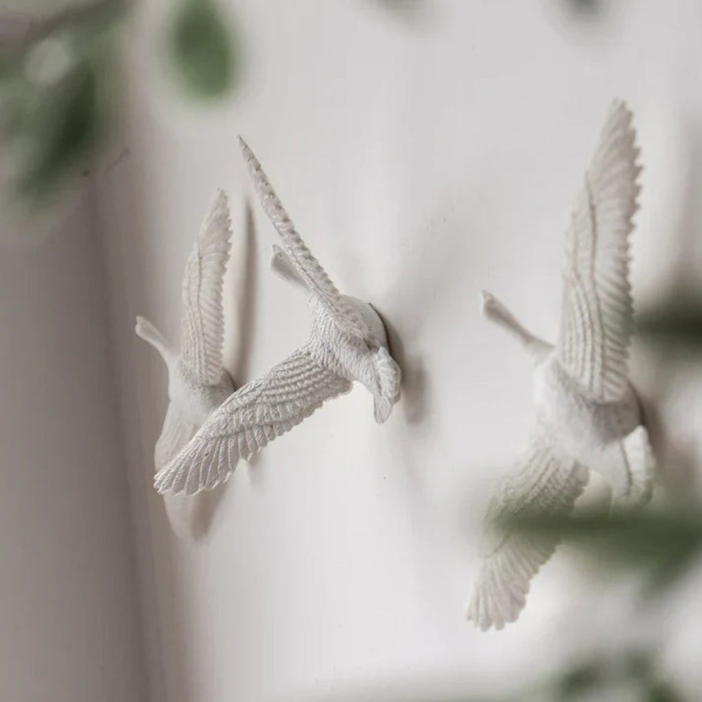 Clock Haoshi Migrantbird C Form Spacio India