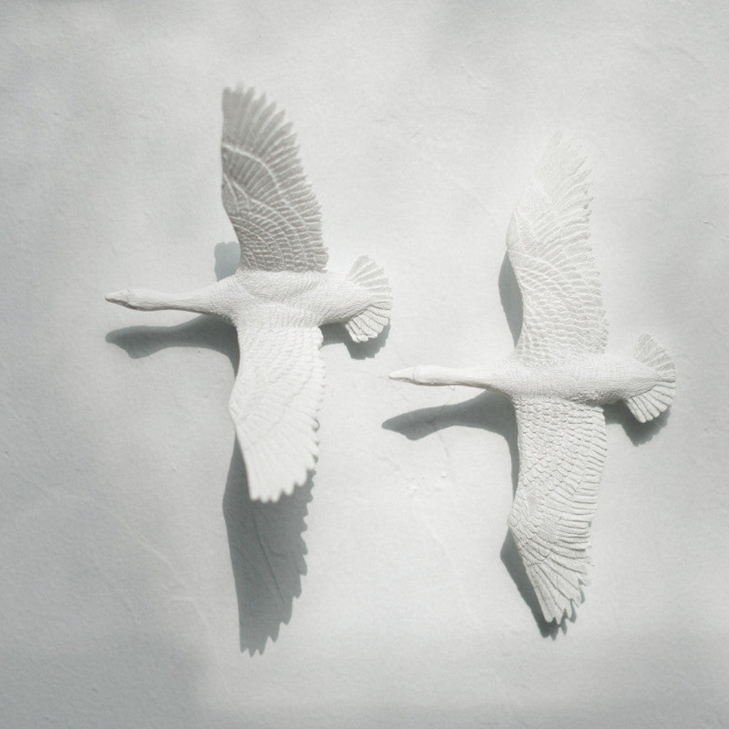 Clock Haoshi Migratory V Form Spacio India