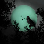 Clock Haoshi Moon - Raven Spacio India