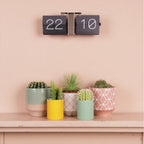 Flip clock on a pink wall with potted plants below